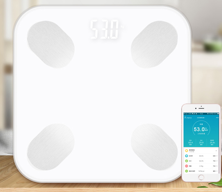 Order Online Keto Tools Smart Body Fat Scale with Mobile App by DXB Keto - DXB Keto Shop 
